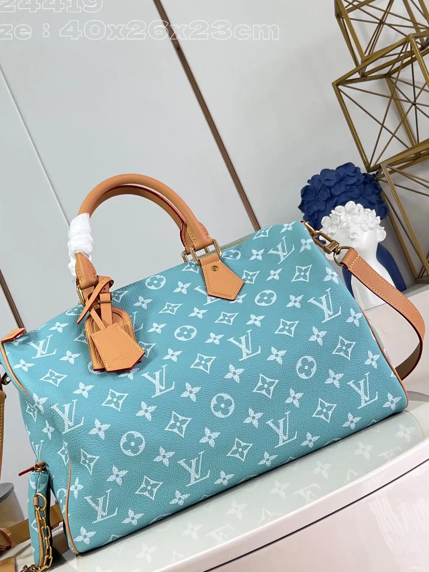 WIS SPEEDY Louis Vuitton 40 0704